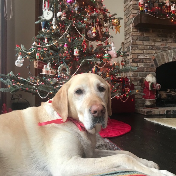 Meet your Posher, Jaclyn - Picture 7 of 7